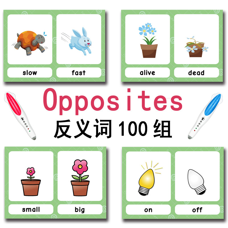 The 100 Groups Opposites Flash - огляд і ціна Kid Education