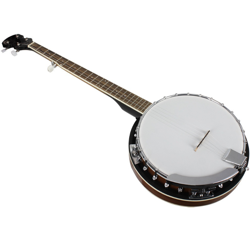 5 String Banjo Western Profess - огляд і ціна Kids Educational Songs