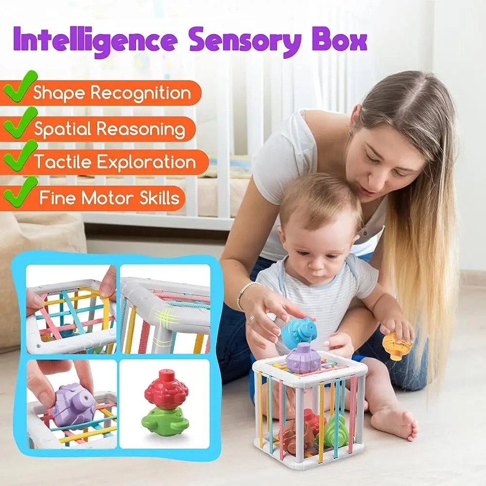 Rainbow Colorful Montessori Sh - огляд і ціна Kids Educational Resources